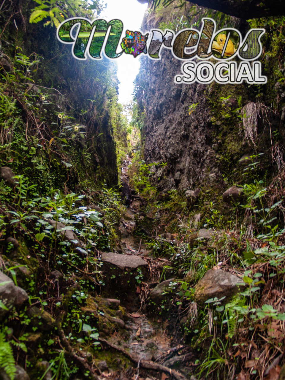 Barranca dentro del cerro de la luz en el pueblo mágico de Tepoztlán, Morelos